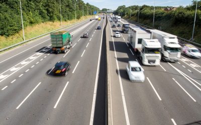 What is Sustainability and Why is it Important?